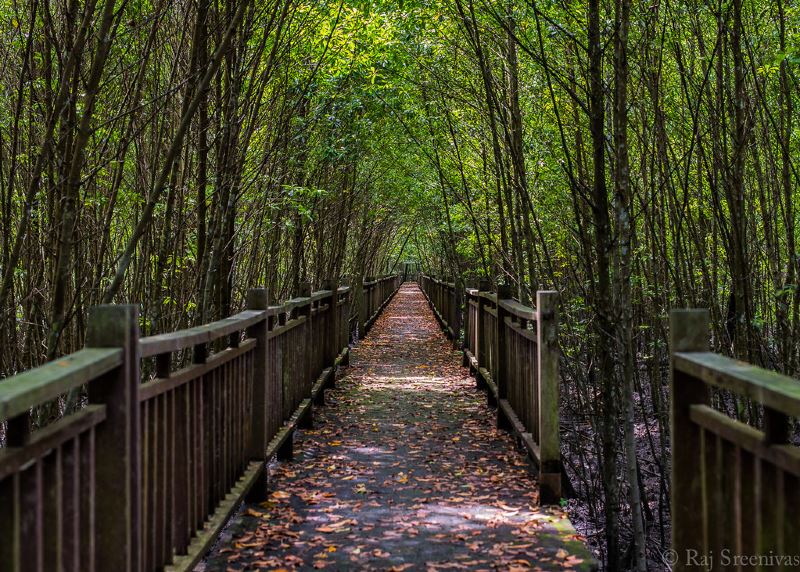 check out these 5 nature retreats in selangor you can visit after mco!