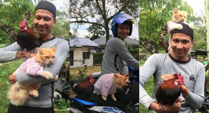 video of man bringing his cat and chicken jalan-jalan on his motorcycle goes viral!