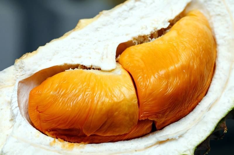 hantu durian kena tahu tentang 7 jenis durian ni! tapi betul ke ada durian warna merah?!