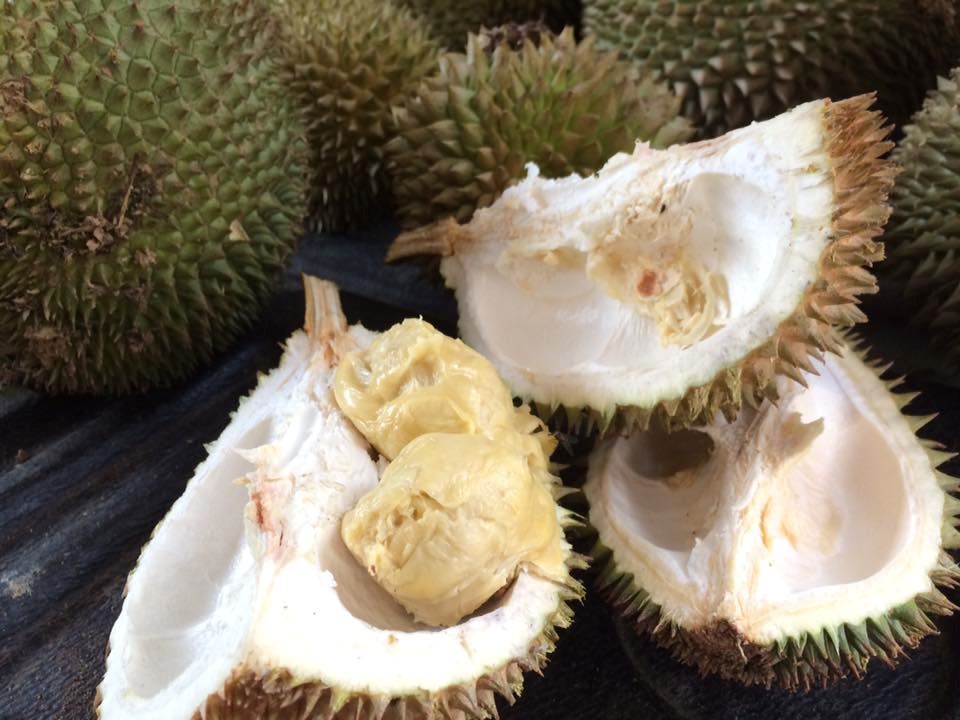 hantu durian kena tahu tentang 7 jenis durian ni! tapi betul ke ada durian warna merah?!