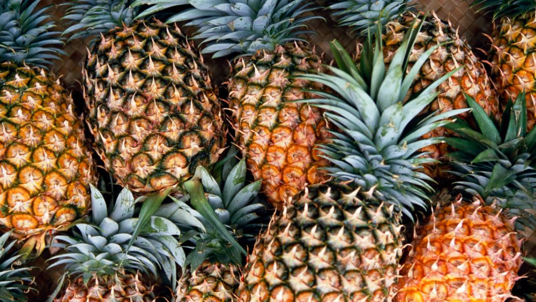 ramai tak suka tapi tahukah anda makan buah nenas boleh redakan stress?
