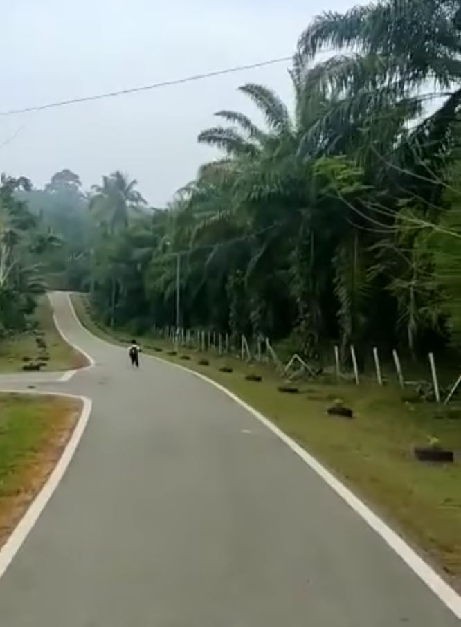 standard 1 boy tries to run away from school because of first day nerves