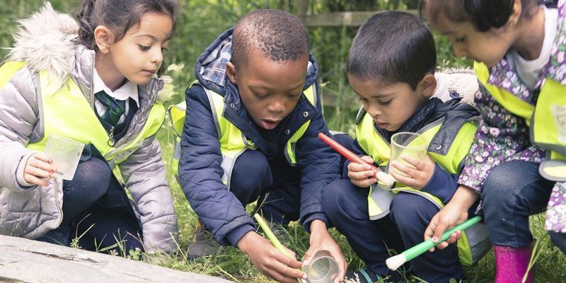 it’s world wildlife day! here’s what you can do to protect our endangered species!