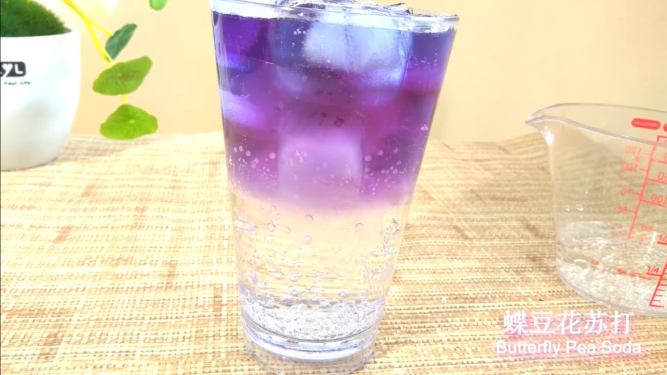 渐层饮料超梦幻! 蝶豆花饮料自己也可以做！