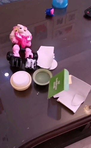  this doggo protected his hooman sister from being scolded