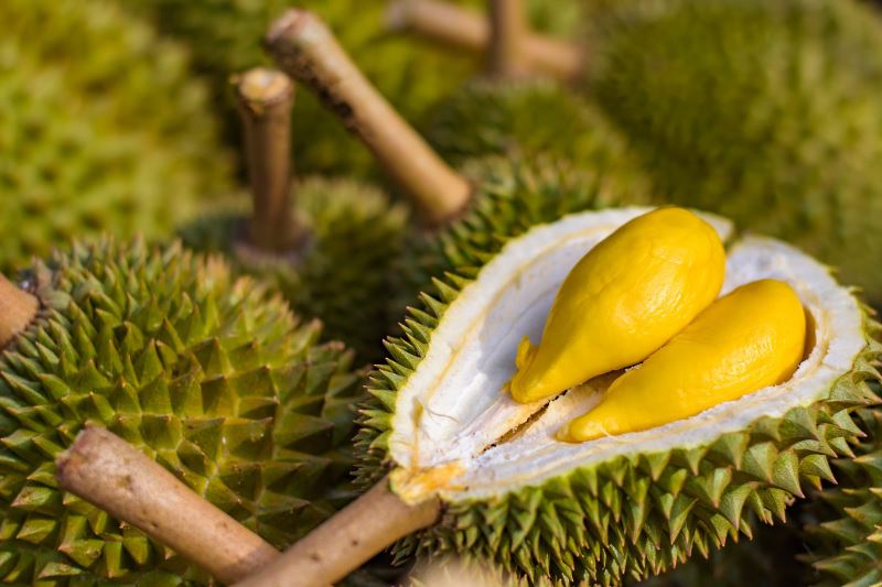 malaysians, we’re getting good durians this year!