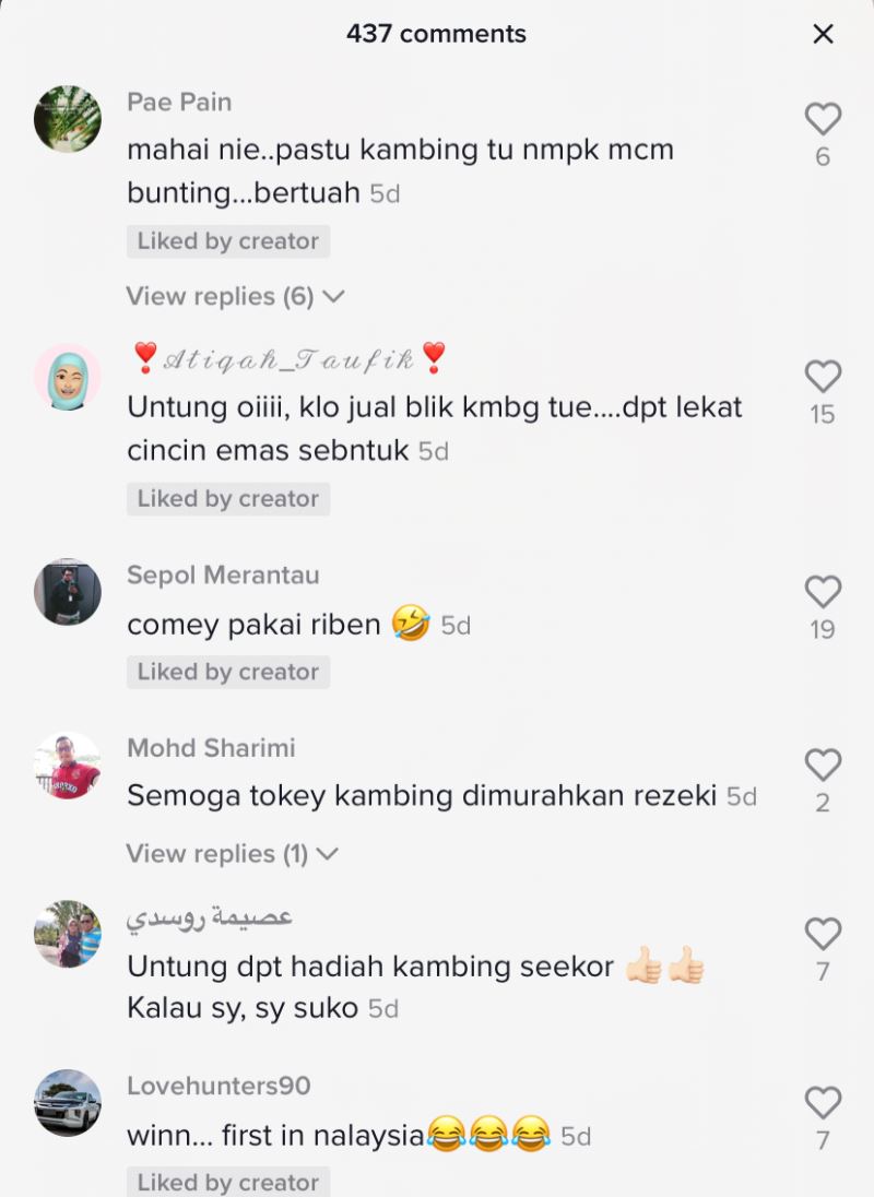 this bride and groom received a goat as their wedding gift and it's hilarious!