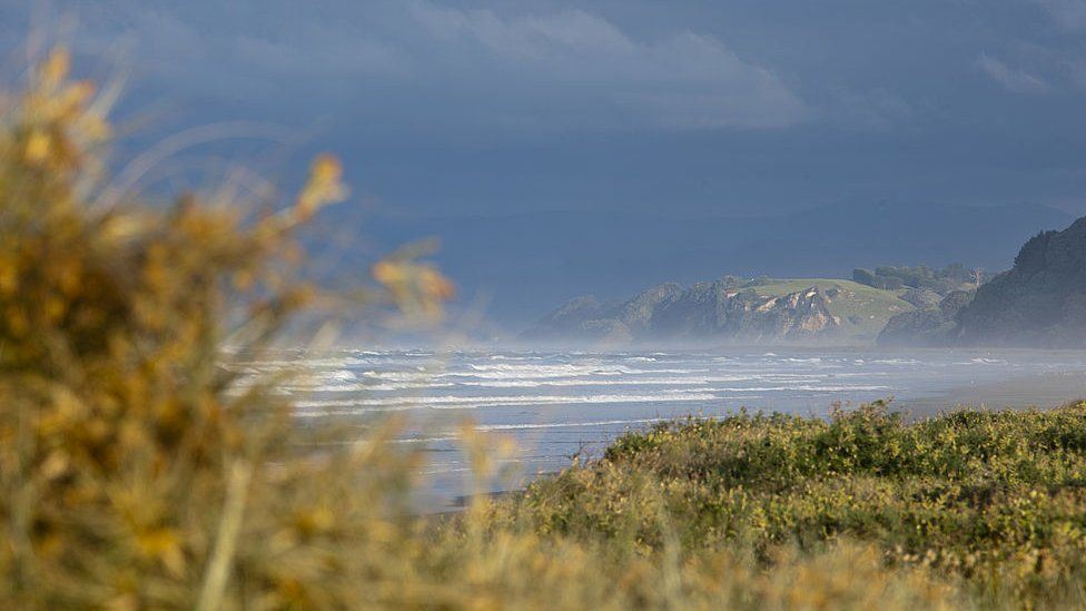 new zealand eases its tsunami warning after powerful 8.1-magnitude earthquake