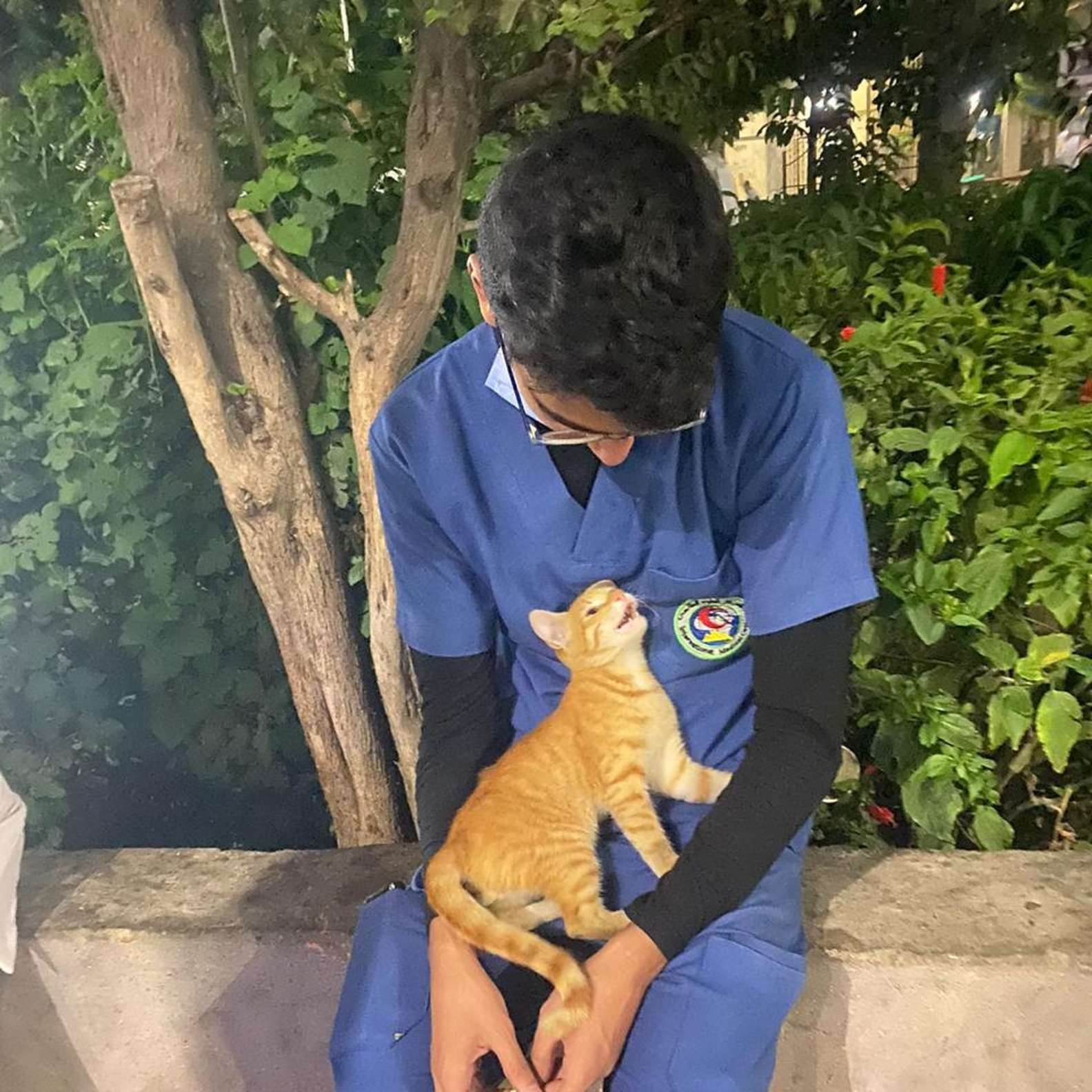 stray cat comforts exhausted nurse during his break 
