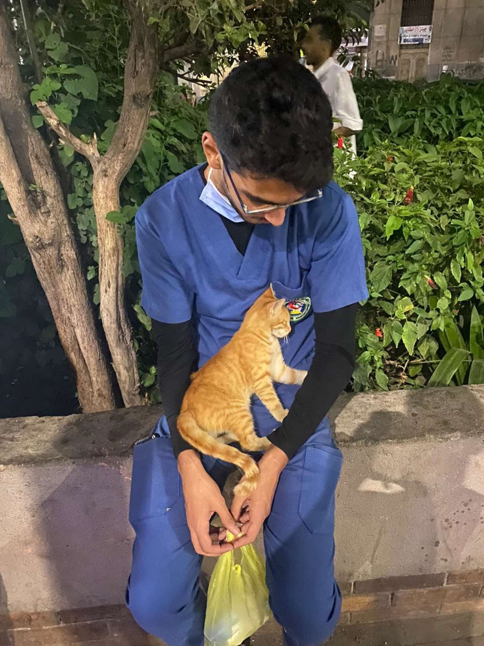 stray cat comforts exhausted nurse during his break 