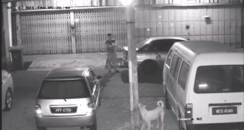 pdrm is looking for a man who killed a dog using a bow and arrow