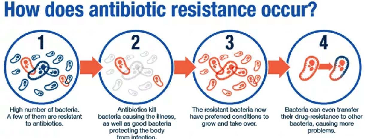 “walaupun rasa dah sihat, ubat antibiotik wajib habiskan”, kenapa?