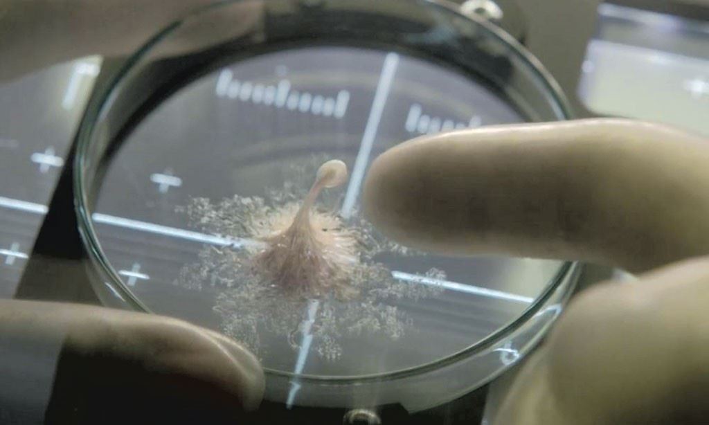 microbes “unknown to science” discovered on international space station