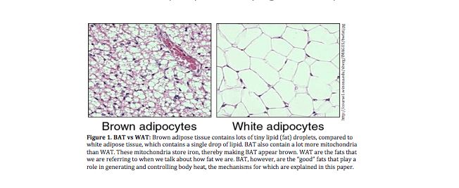 tahukah anda tampal ais dikawasan berlemak boleh bakar kalori ? 