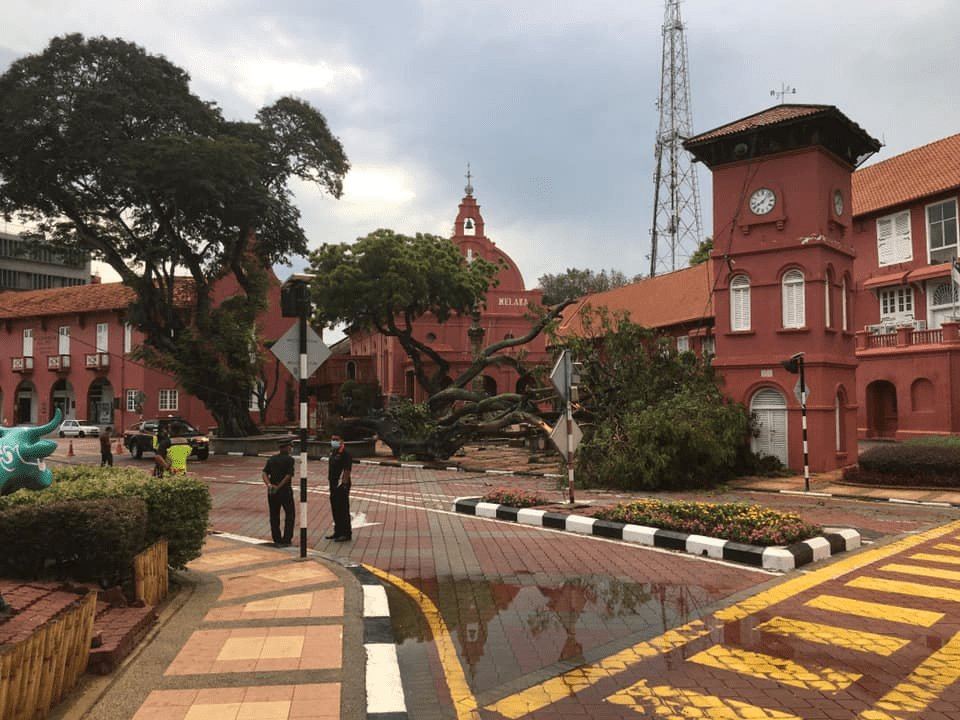 melaka’s historical 127-year-old tree uproots during lighting storm 
