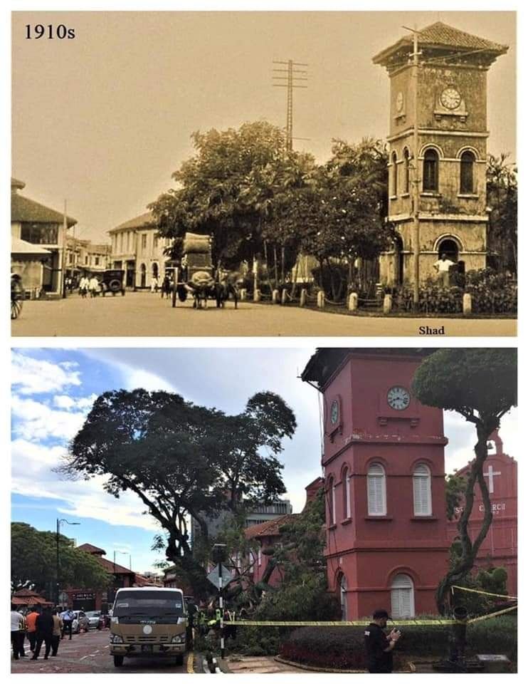 melaka’s historical 127-year-old tree uproots during lighting storm 