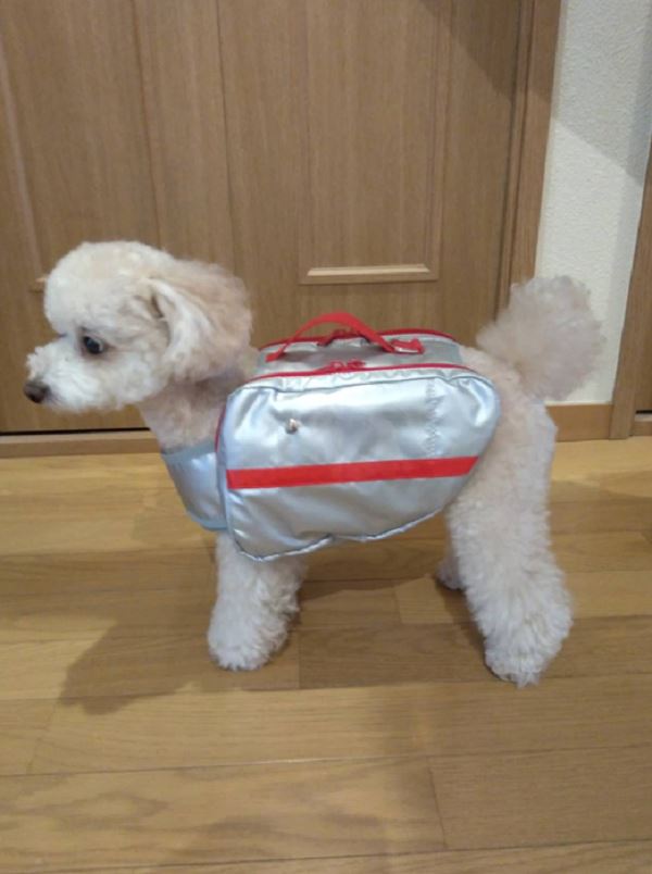 japanese company designs emergency rescue kits for dogs 