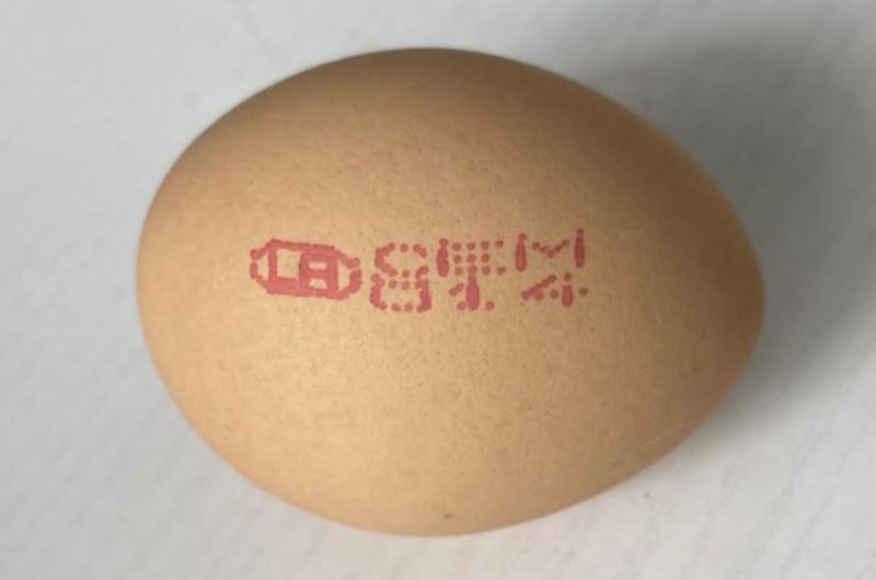aeon recalls batch of eggs due to possible salmonella contamination