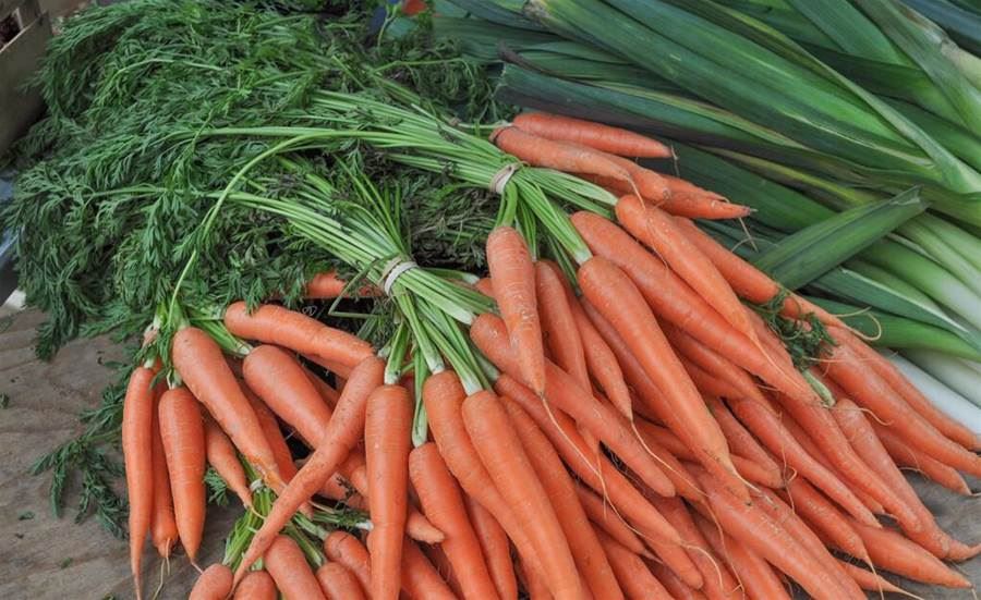 别再买错了！这4种萝卜千万不能买，营养素都流失啊！