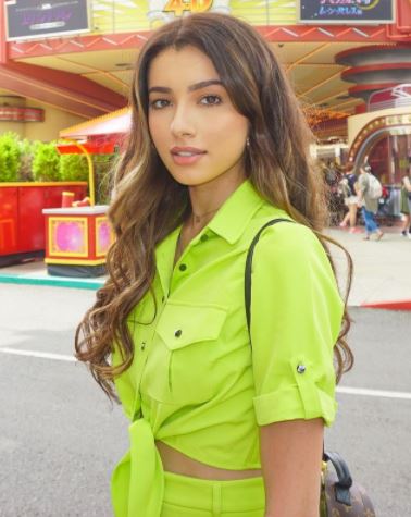 amelia handerson tak peduli dilabel seksi dan pelat bahasa melayu