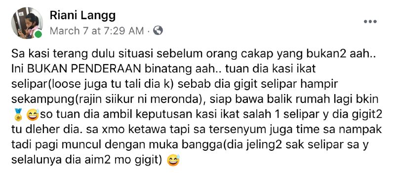 woman gave her doggo a “slipper medal” because he likes chewing on slippers