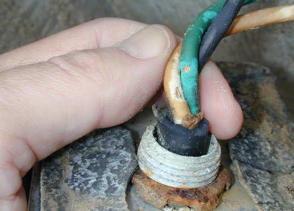 bahaya jika semut suka bersarang dalam suis elektrik