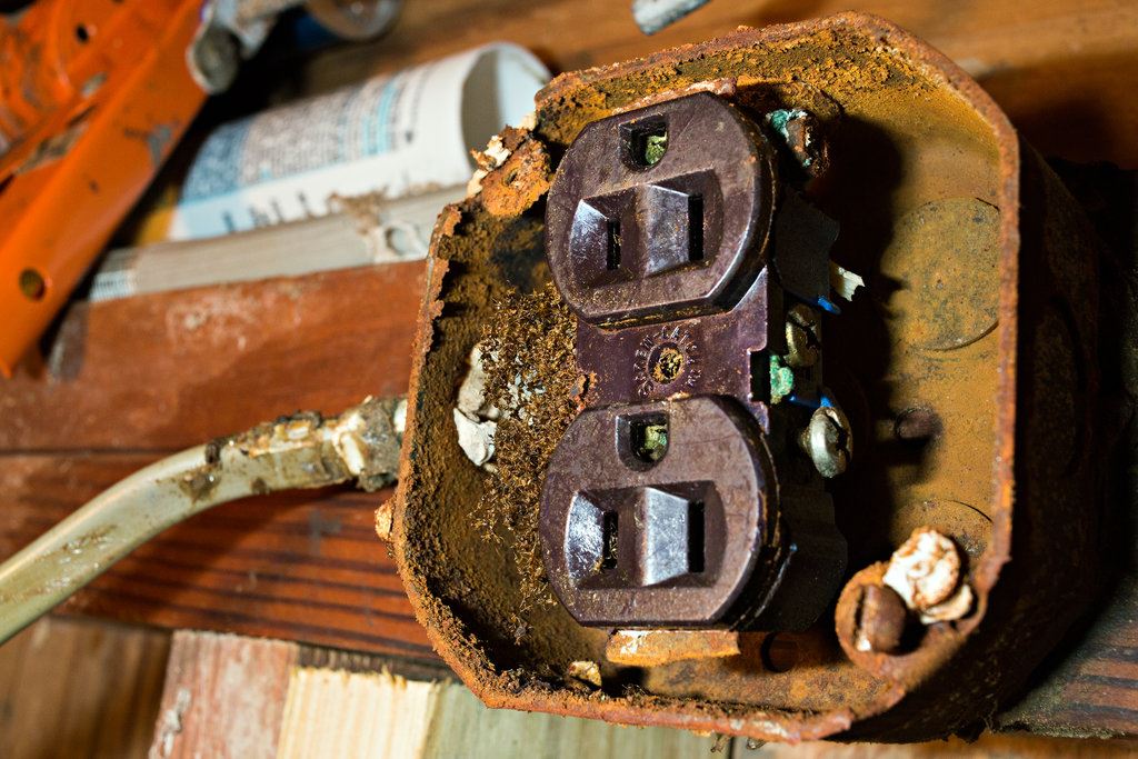 bahaya jika semut suka bersarang dalam suis elektrik