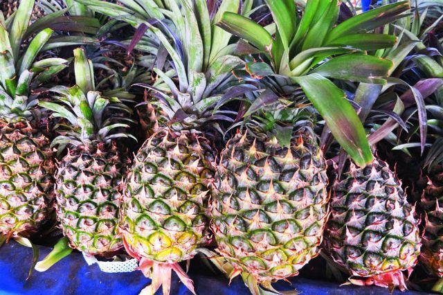 饭后吃这3样水果包你健康！你都吃对了吗？