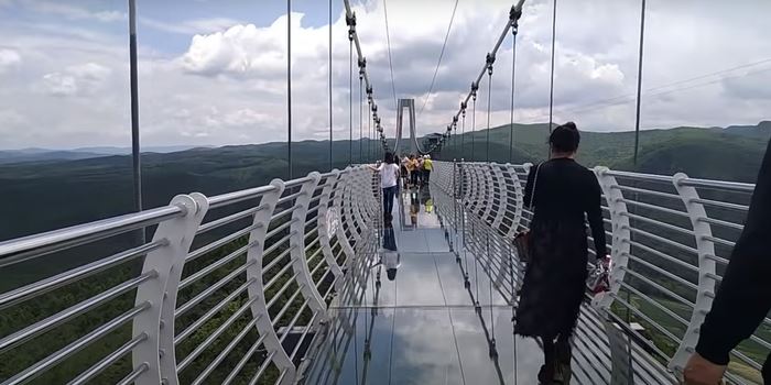 tourist left hanging on 300m high glass bridge after panels get blown off