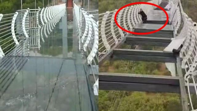 detik cemas! jambatan kaca pecah, pelancong terkandas cuba selamatkan dir