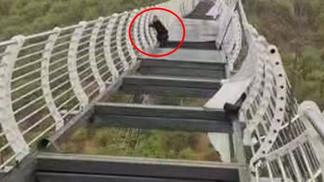 detik cemas! jambatan kaca pecah, pelancong terkandas cuba selamatkan dir