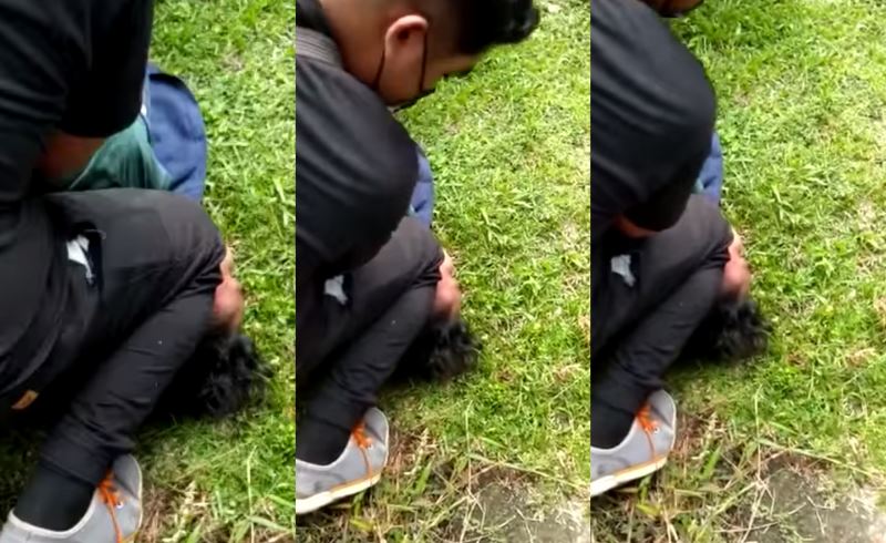 man tries to steal car with a child in back seat, stopped by malaysians