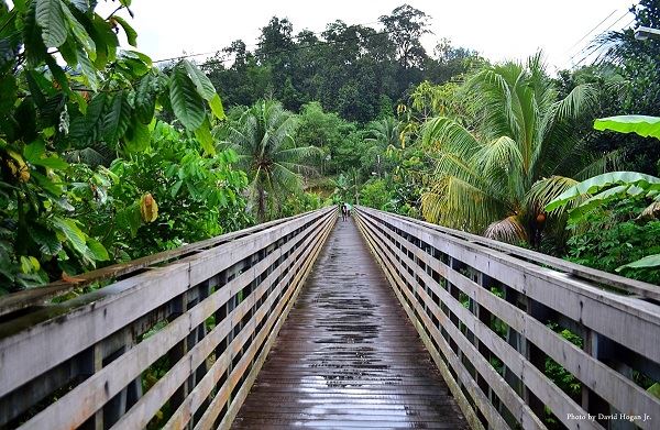 “stuffing your face with pansuh” and 7 other things sarawakians cherish the most