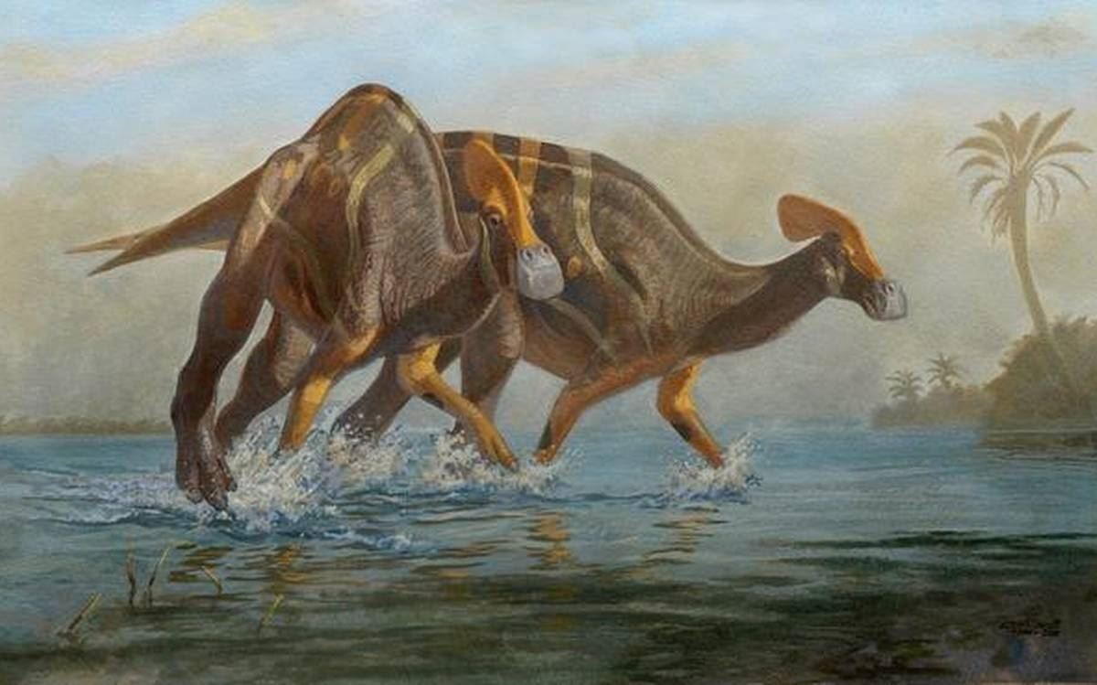 mexico temui fosil dinosaur spesies jarang dijumpai