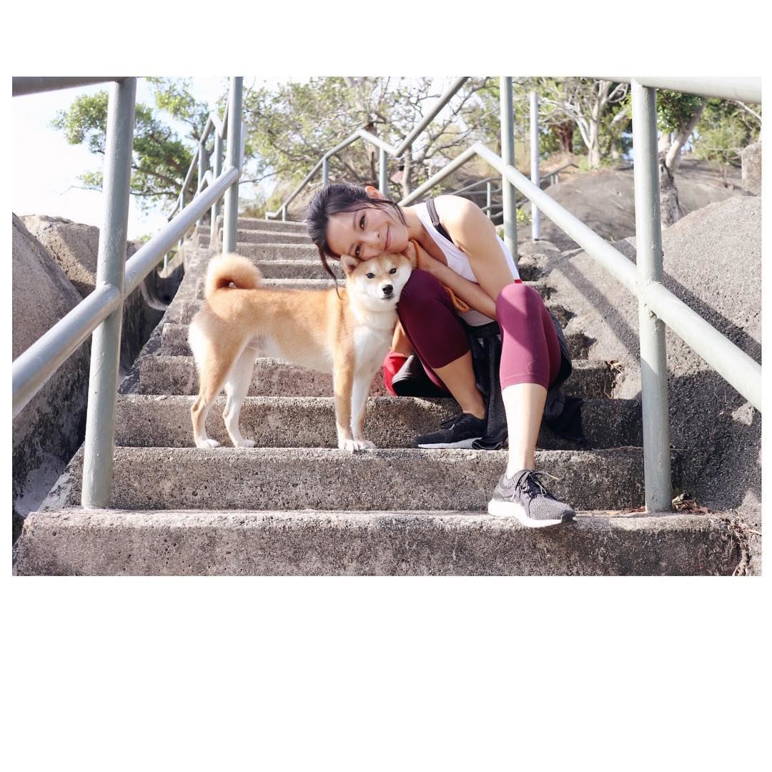 爱宠物人士看过来❗️研究:跟宠物说话代表高智商🐶