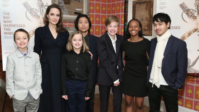 selepas lima tahun, akhirnya brad pitt menang kes hak jagaan anak