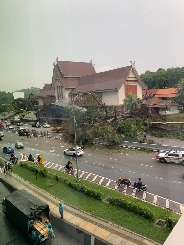 pokok tumbang dekat muzium negara hempap kereta dan motosikal