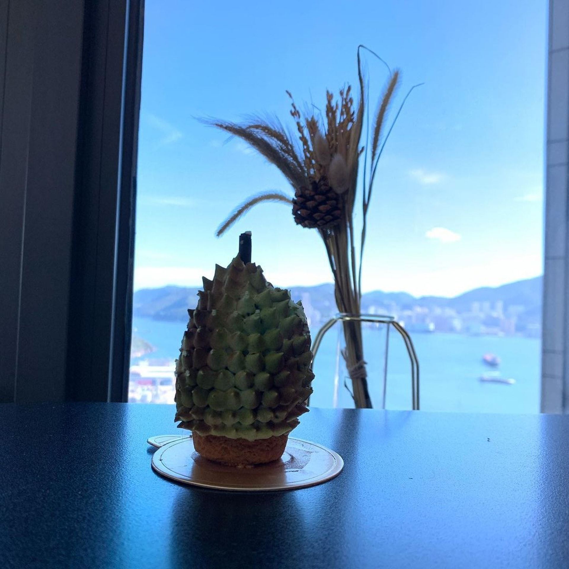 陈展鹏「千万豪宅」曝光❗️巨厅有无敌大山美景超正❤️