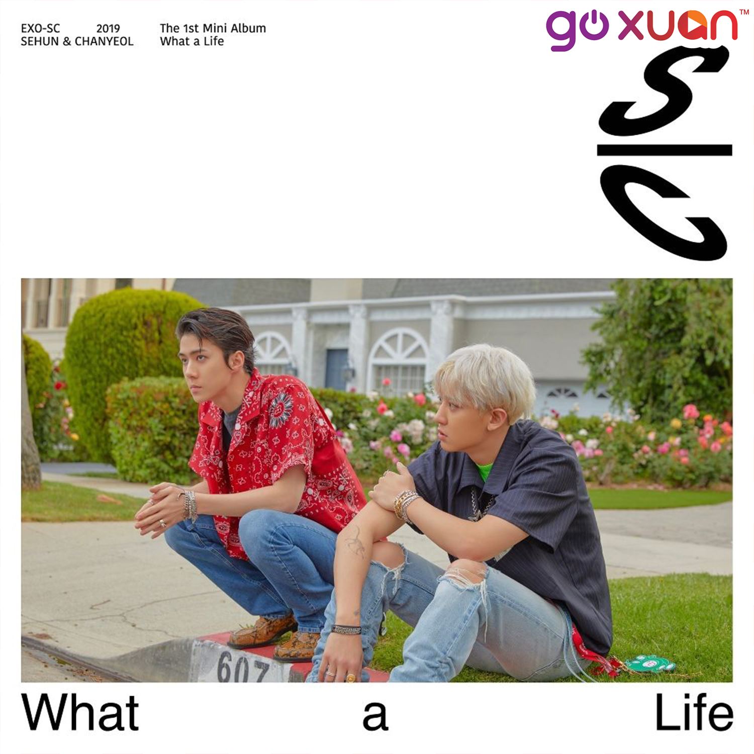 goxuan #sotd 2019