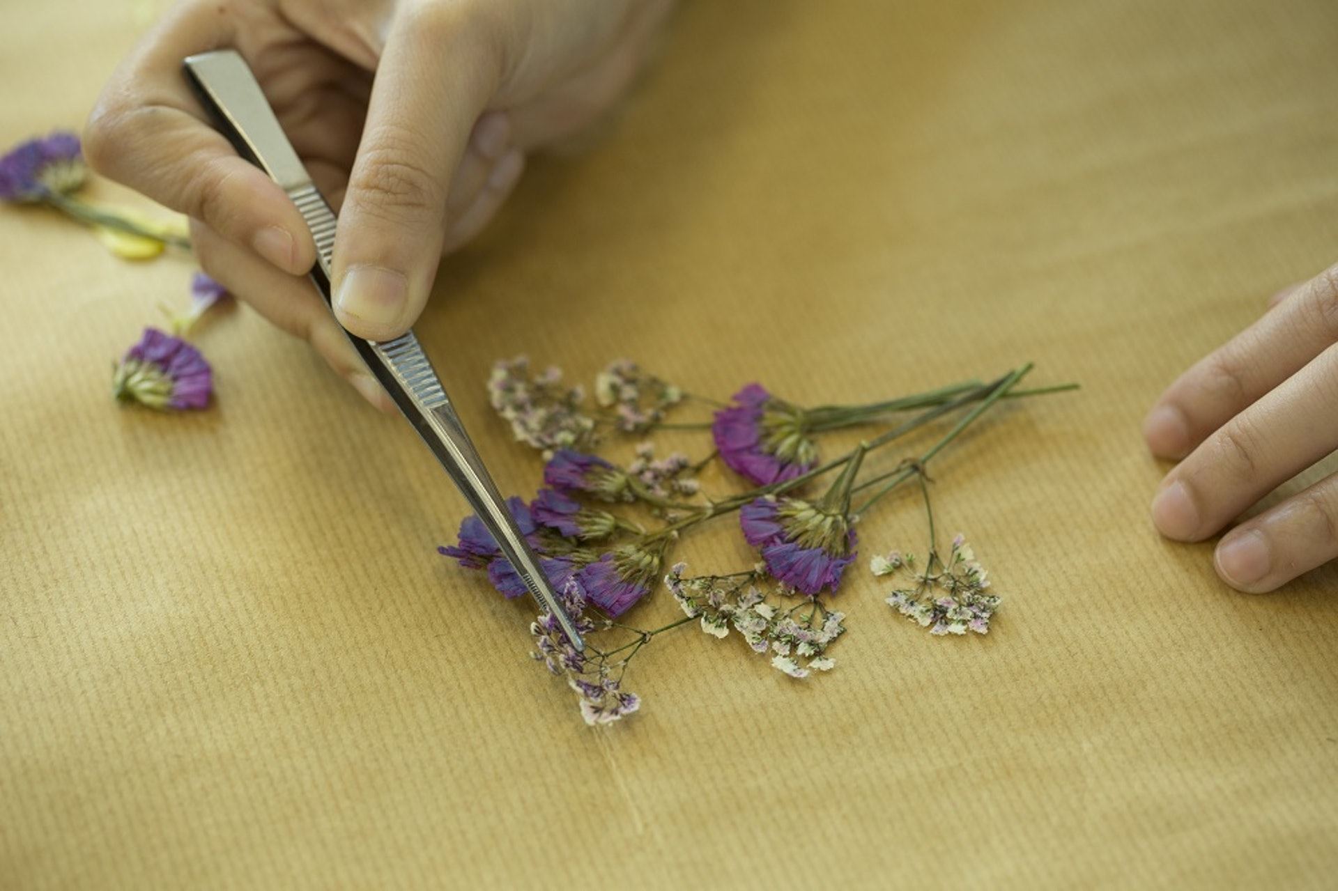 让花不枯萎？3种超简单制作干花方法