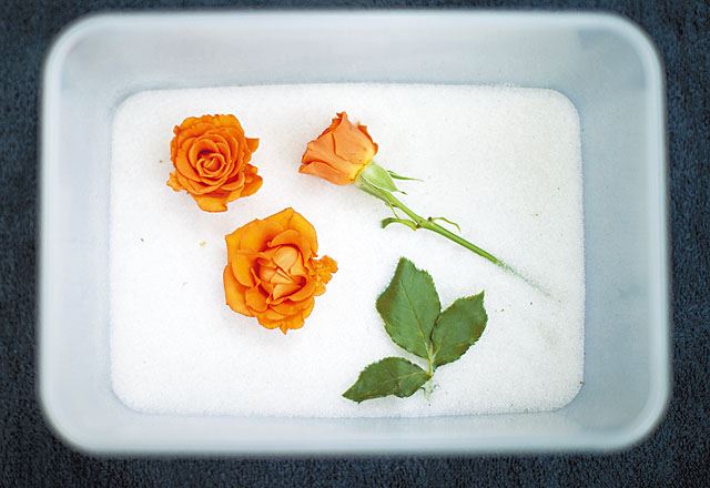 让花不枯萎？3种超简单制作干花方法