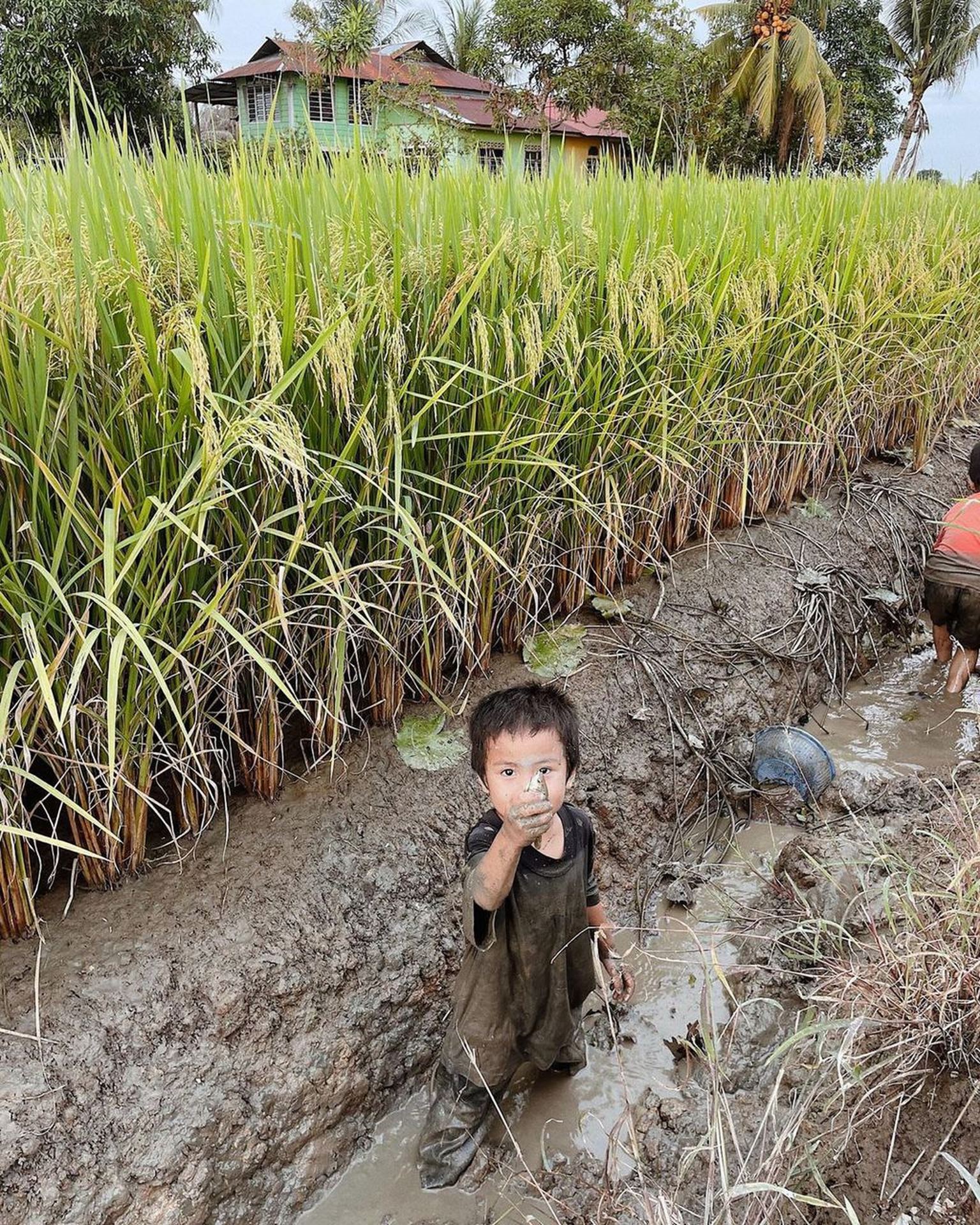 solo travel to the state of selangor? why not?!