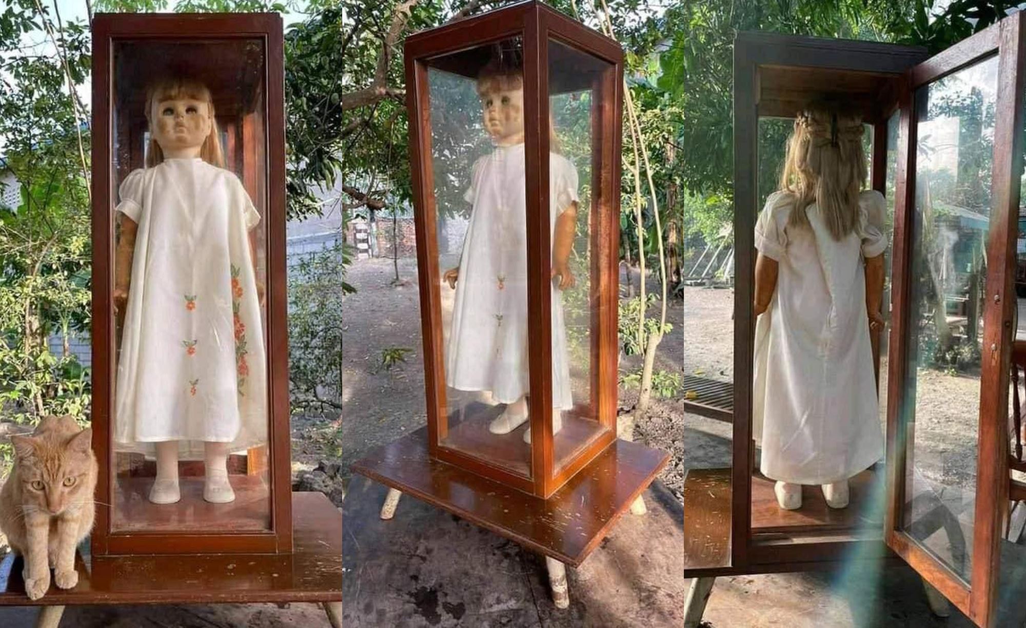 “cursed” doll that looks like annabelle found abandoned in woods inside glass case