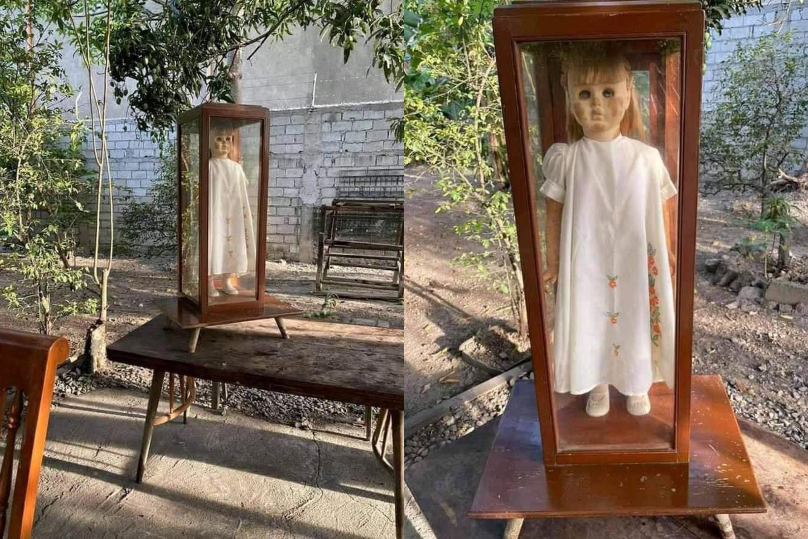 “cursed” doll that looks like annabelle found abandoned in woods inside glass case