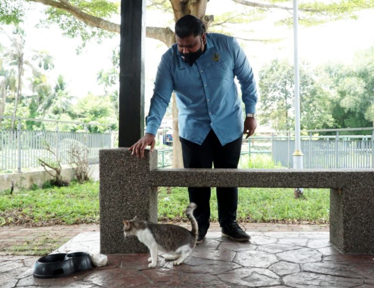 taman khas cadang dibina di perak untuk kucing jalanan