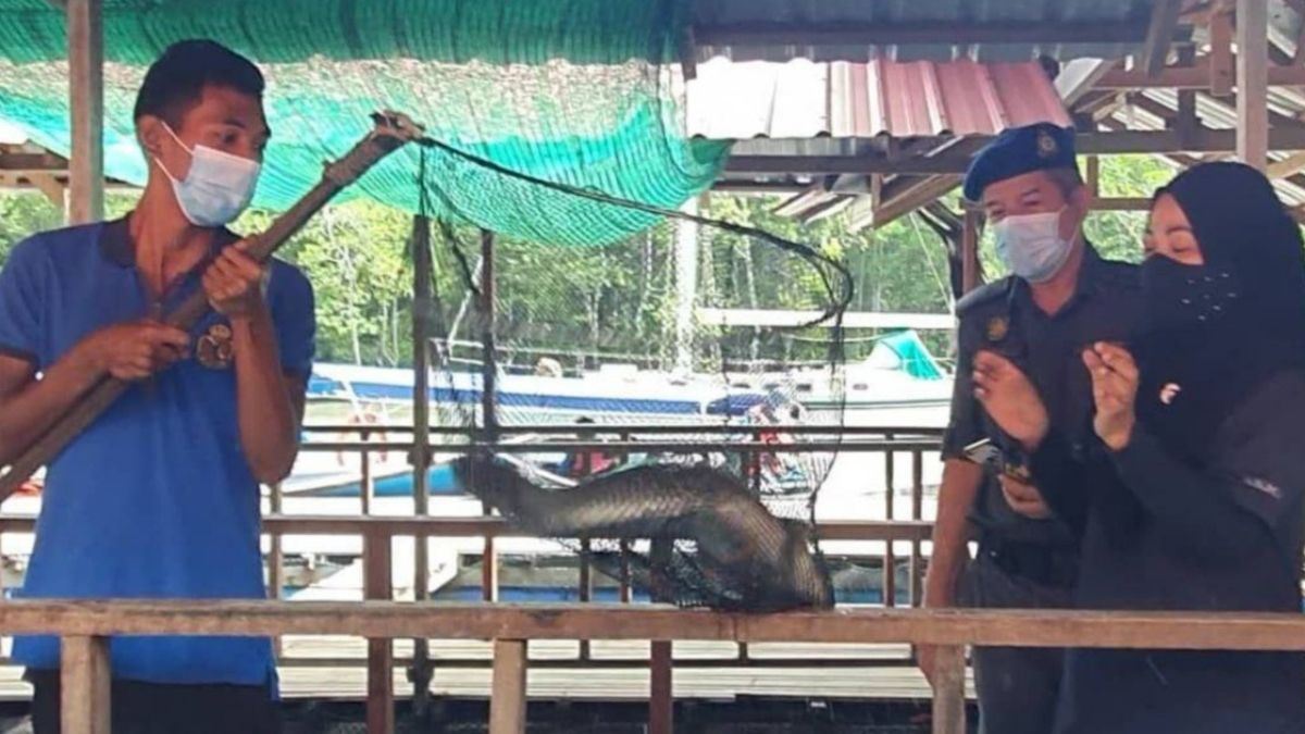 kpdnhep beri masa lima hari, pemilik restoran siakap langkawi diarah jelaskan kos operasi