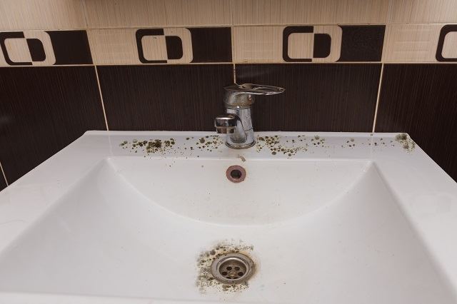 5 health dangers lurking in your bathroom that you’ll be surprised to know about