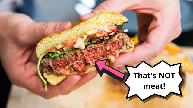 Plant-based meatless burger