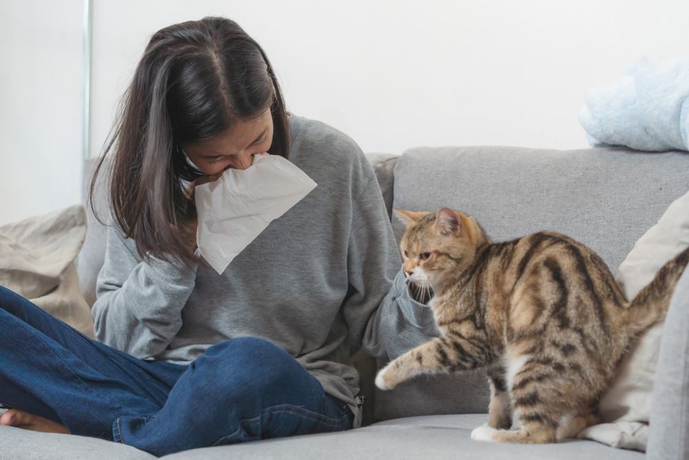 bukan sebab bulu, ini rupanya punca ada orang alergik pada kucing