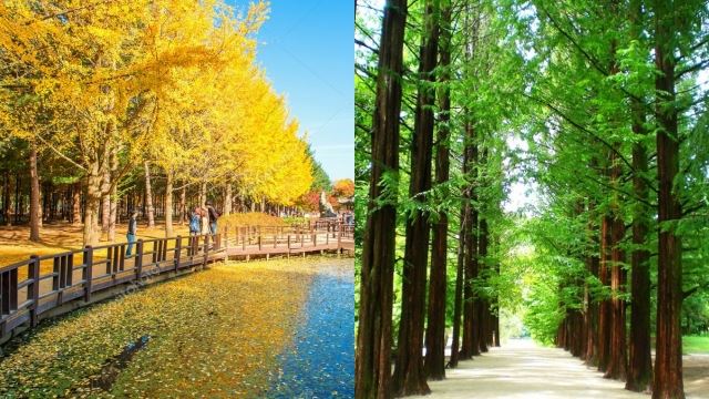 teluk arong bina landskap persis pulau nami di korea selatan, bakal jadi tarikan pelancongan